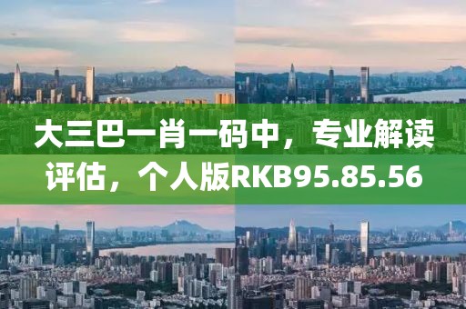 大三巴一肖一码中，专业解读评估，个人版RKB95.85.56