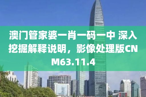 澳门管家婆一肖一码一中 深入挖掘解释说明，影像处理版CNM63.11.4