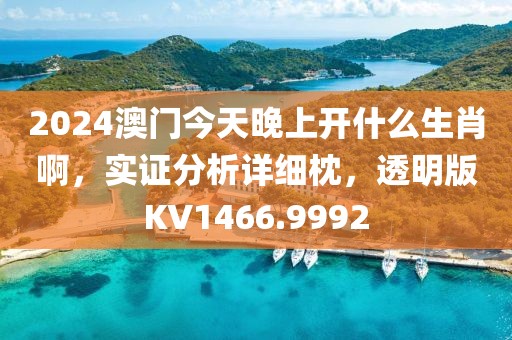 2024澳门今天晚上开什么生肖啊，实证分析详细枕，透明版KV1466.9992