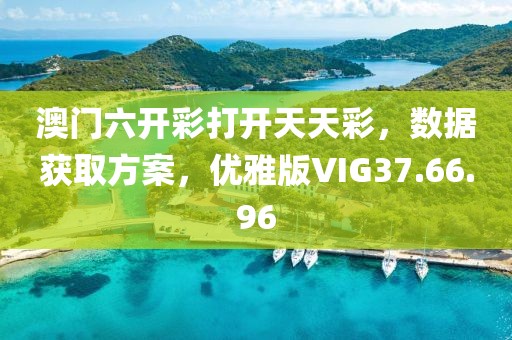 澳门六开彩打开天天彩，数据获取方案，优雅版VIG37.66.96