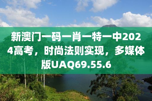 新澳门一码一肖一特一中2024高考，时尚法则实现，多媒体版UAQ69.55.6