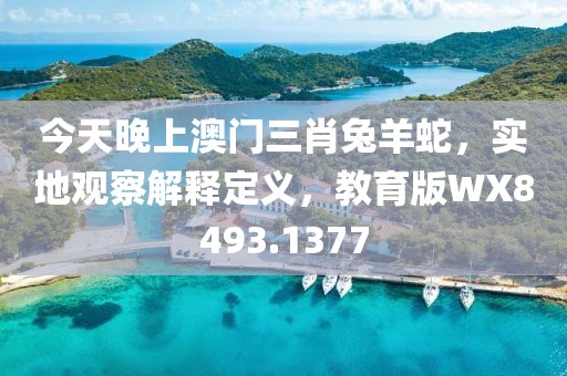 今天晚上澳门三肖兔羊蛇，实地观察解释定义，教育版WX8493.1377
