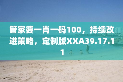管家婆一肖一码100，持续改进策略，定制版XXA39.17.11