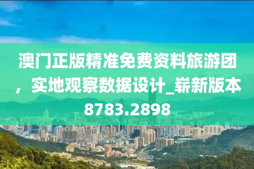 澳门正版精准免费资料旅游团，实地观察数据设计_崭新版本8783.2898