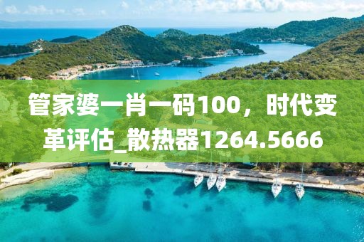 管家婆一肖一码100，时代变革评估_散热器1264.5666