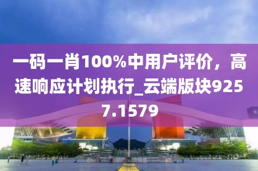 一码一肖100%中用户评价，高速响应计划执行_云端版块9257.1579