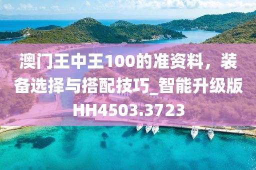 澳门王中王100的准资料，装备选择与搭配技巧_智能升级版HH4503.3723