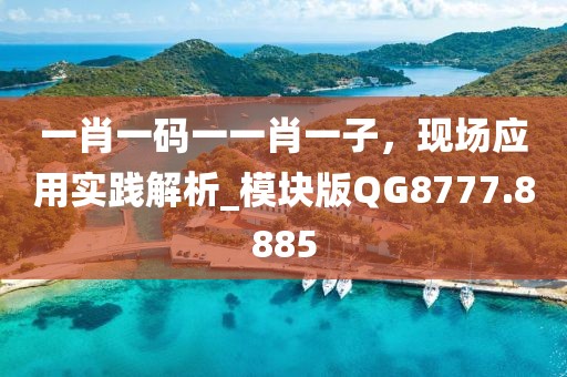 一肖一码一一肖一子，现场应用实践解析_模块版QG8777.8885