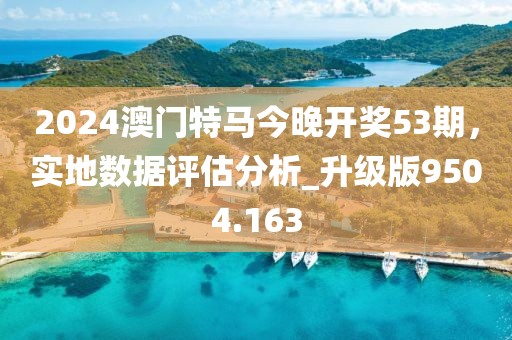 2024澳门特马今晚开奖53期，实地数据评估分析_升级版9504.163