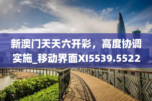 新澳门天天六开彩，高度协调实施_移动界面XI5539.5522