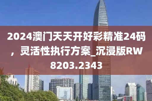 2024澳门天天开好彩精准24码，灵活性执行方案_沉浸版RW8203.2343