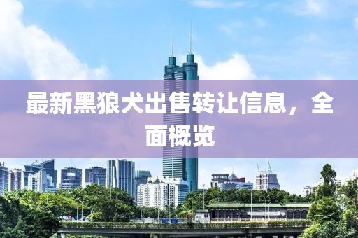 最新黑狼犬出售转让信息，全面概览