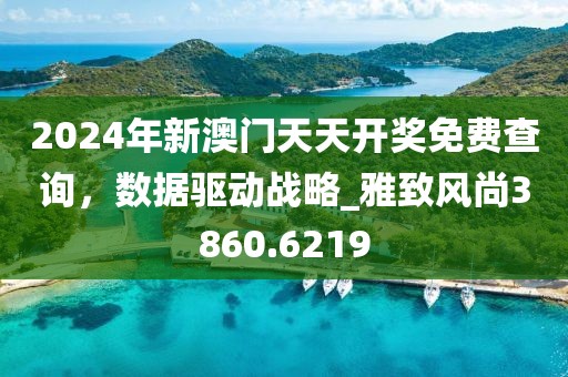 2024年新澳门天天开奖免费查询，数据驱动战略_雅致风尚3860.6219