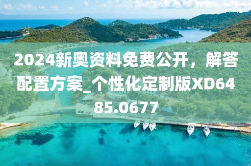 2024新奥资料免费公开，解答配置方案_个性化定制版XD6485.0677