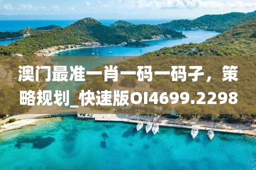 澳门最准一肖一码一码孑，策略规划_快速版OI4699.2298