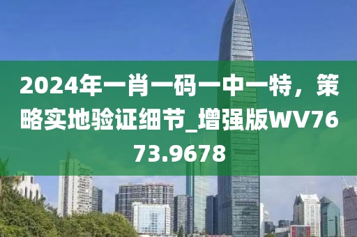 2024年一肖一码一中一特，策略实地验证细节_增强版WV7673.9678