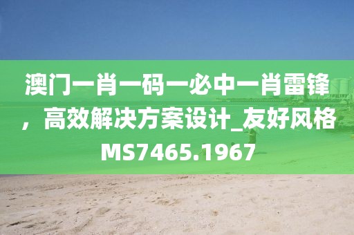 澳门一肖一码一必中一肖雷锋，高效解决方案设计_友好风格MS7465.1967