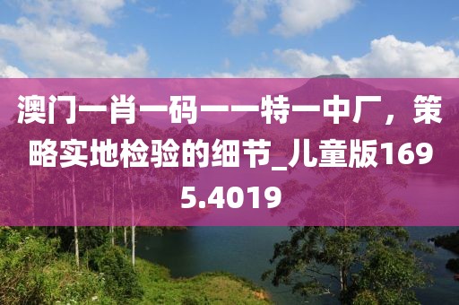 澳门一肖一码一一特一中厂，策略实地检验的细节_儿童版1695.4019