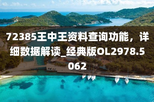 72385王中王资料查询功能，详细数据解读_经典版OL2978.5062