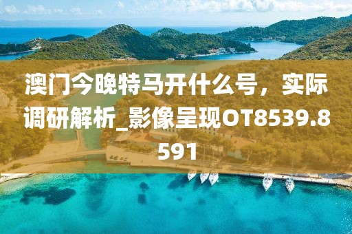 澳门今晚特马开什么号，实际调研解析_影像呈现OT8539.8591