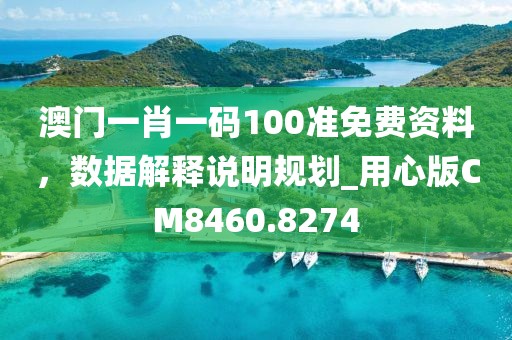 澳门一肖一码100准免费资料，数据解释说明规划_用心版CM8460.8274