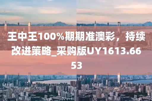 王中王100%期期准澳彩，持续改进策略_采购版UY1613.6653