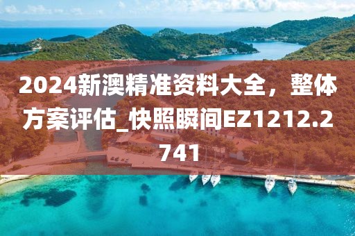 2024新澳精准资料大全，整体方案评估_快照瞬间EZ1212.2741