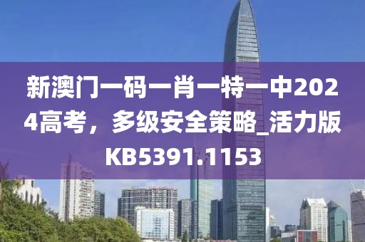 新澳门一码一肖一特一中2024高考，多级安全策略_活力版KB5391.1153