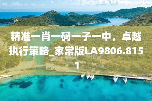 精准一肖一码一子一中，卓越执行策略_家常版LA9806.8151