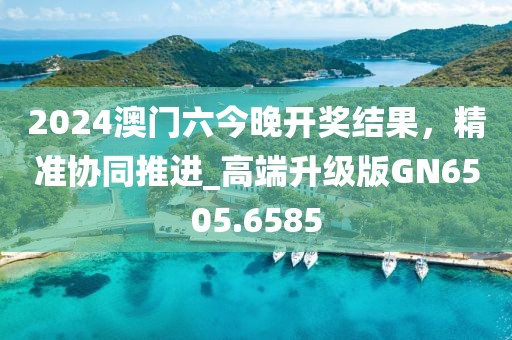 2024澳门六今晚开奖结果，精准协同推进_高端升级版GN6505.6585