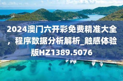 2024澳门六开彩免费精准大全，程序数据分析解析_触感体验版HZ1389.5076
