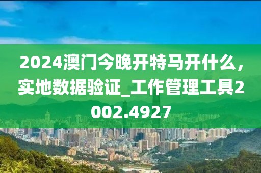 2024澳门今晚开特马开什么，实地数据验证_工作管理工具2002.4927