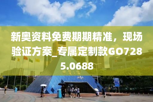 新奥资料免费期期精准，现场验证方案_专属定制款GO7285.0688
