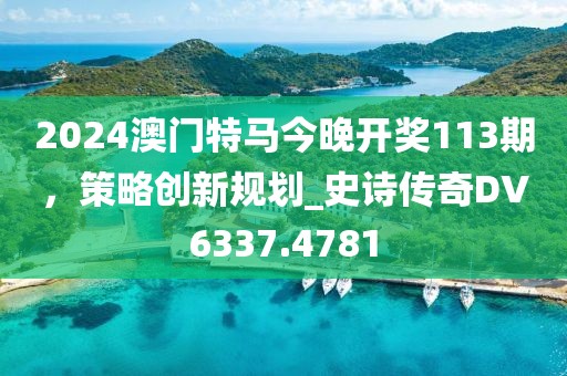 2024澳门特马今晚开奖113期，策略创新规划_史诗传奇DV6337.4781