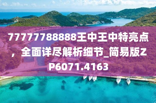 77777788888王中王中特亮点，全面详尽解析细节_简易版ZP6071.4163