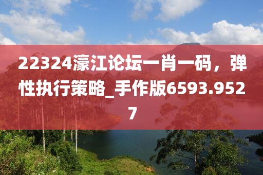 22324濠江论坛一肖一码，弹性执行策略_手作版6593.9527