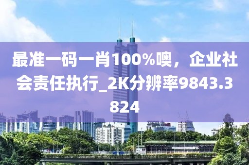 最准一码一肖100%噢，企业社会责任执行_2K分辨率9843.3824