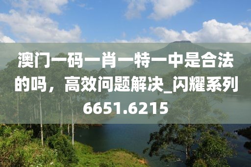 澳门一码一肖一特一中是合法的吗，高效问题解决_闪耀系列6651.6215