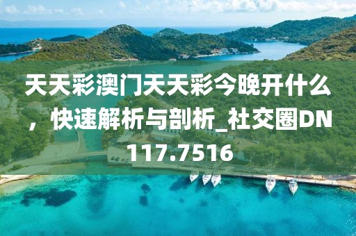 天天彩澳门天天彩今晚开什么，快速解析与剖析_社交圈DN117.7516