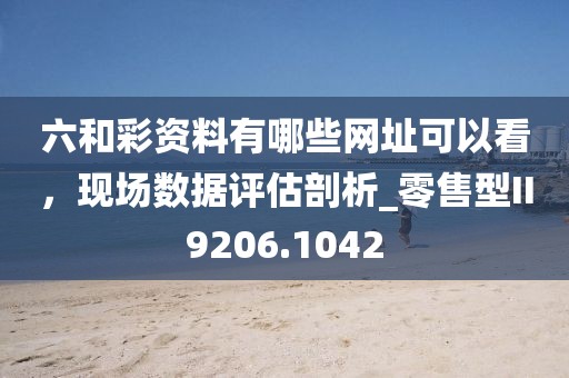 六和彩资料有哪些网址可以看，现场数据评估剖析_零售型II9206.1042