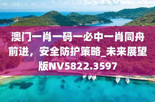 澳门一肖一码一必中一肖同舟前进，安全防护策略_未来展望版NV5822.3597