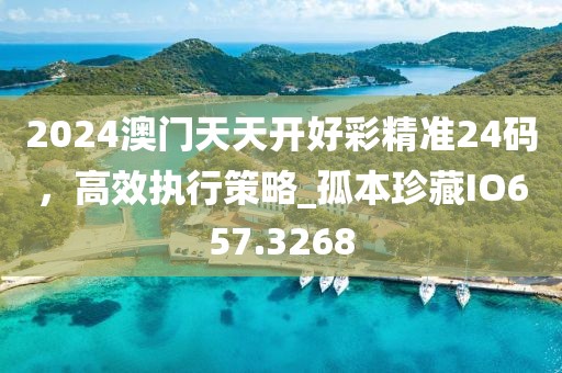 2024澳门天天开好彩精准24码，高效执行策略_孤本珍藏IO657.3268