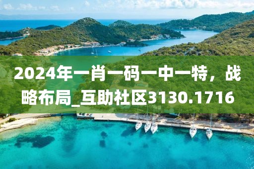 2024年一肖一码一中一特，战略布局_互助社区3130.1716