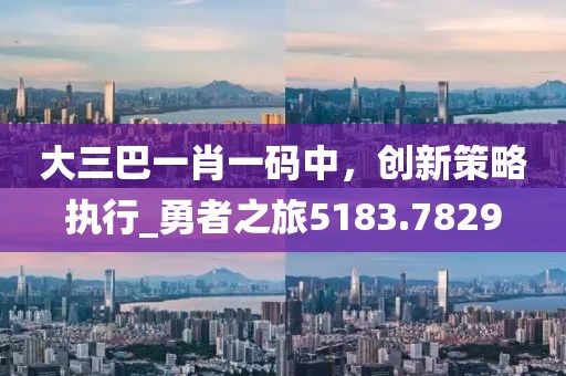 大三巴一肖一码中，创新策略执行_勇者之旅5183.7829