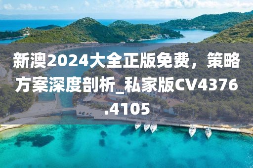 新澳2024大全正版免费，策略方案深度剖析_私家版CV4376.4105