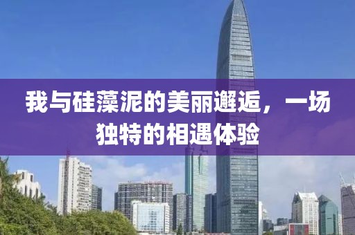 我与硅藻泥的美丽邂逅，一场独特的相遇体验