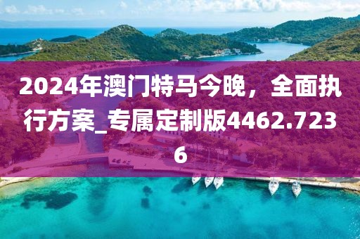 2024年澳门特马今晚，全面执行方案_专属定制版4462.7236