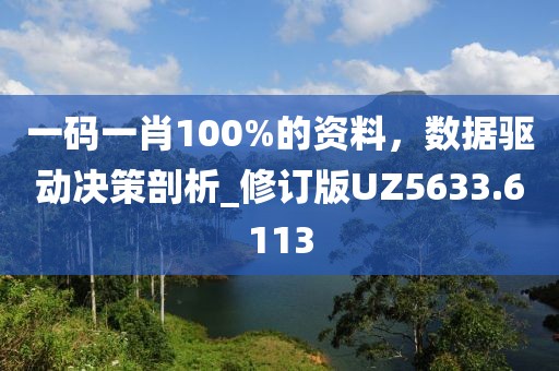 一码一肖100%的资料，数据驱动决策剖析_修订版UZ5633.6113