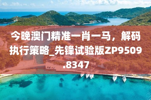 今晚澳门精准一肖一马，解码执行策略_先锋试验版ZP9509.8347