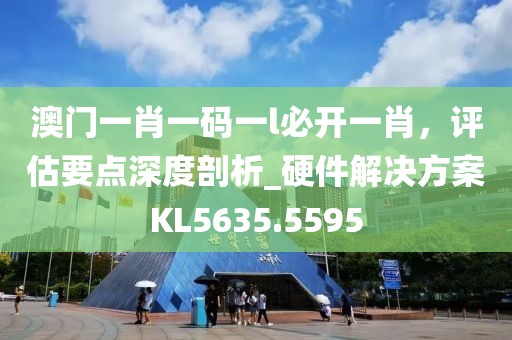 澳门一肖一码一l必开一肖，评估要点深度剖析_硬件解决方案KL5635.5595